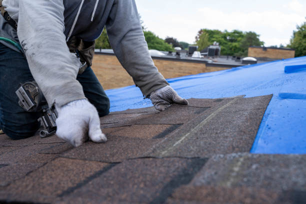 Best Flat Roof Repair Services  in Taft Heights, CA