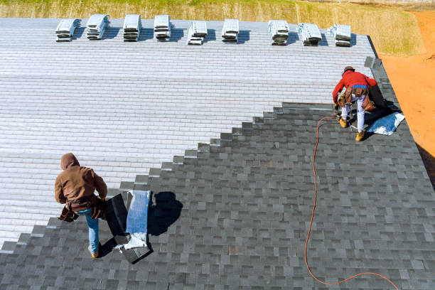 Best Roof Gutter Cleaning  in Taft Heights, CA