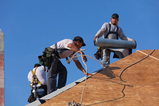 Best Emergency Roof Repair  in Taft Heights, CA