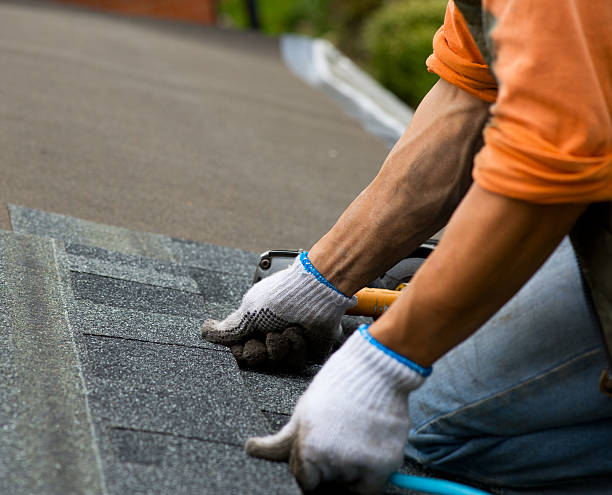 Best Roof Maintenance Services  in Taft Heights, CA