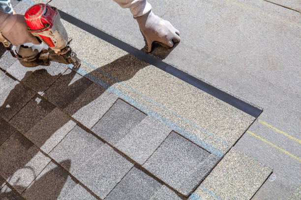 Best Roof Restoration Services  in Taft Heights, CA