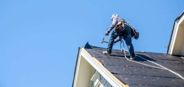 Best Roof Leak Repair  in Taft Heights, CA